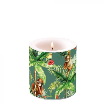 Ambiente 8 x 7 cm Kerze Small Orangutan Green