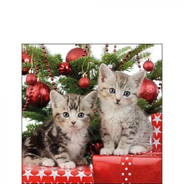 Ambiente Cocktail Serviette 25 x 25 cm pro Stück Christmas Kitten