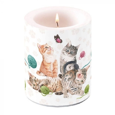 Ambiente 12 x 10 cm Kerze BIG Playing Kitten