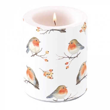 Ambiente Kerze BIG 12 x 10 cm Robin Family