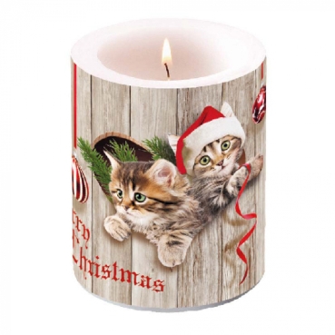 Ambiente Kerze BIG 12 x 10 cm Curious Kittens