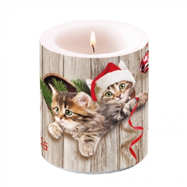 Ambiente Kerze Medium 10 x 10 cm Curious Kittens