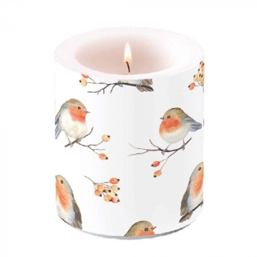 Ambiente Kerze Medium 10 x 10 cm Robin Family