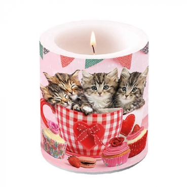 Ambiente Kerze Medium 10 x 10 cm Cats in Tea Cups