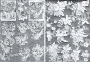 Reddy Cards Dufex 3D-Stanzbogen zum Bemalen, Florale Weihnachten