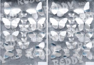 Reddy Cards Dufex 3D-Stanzbogen zum Bemalen, Schmetterlinge