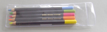 ESBE Bibel Marker 5-er Etui