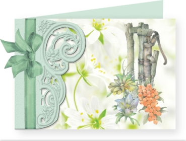 Preview: Reddy Cards Blumenkarten mit Transparentpapier Staf Wesenbeek II