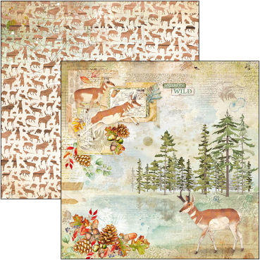 Preview: Ciao Bella 12 x 12 Inch Paper Pad Into the Wild