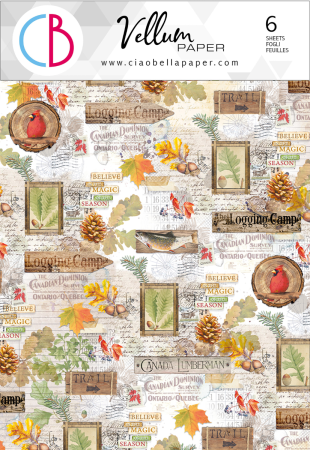 Ciao Bella Paper Patterns A4 Vellum Into the Wild