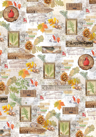 Ciao Bella Paper Patterns A4 Vellum Into the Wild