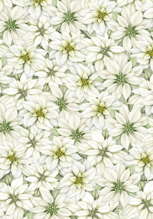 Preview: Ciao Bella Paper Patterns A4 Vellum Sparkling Christmas