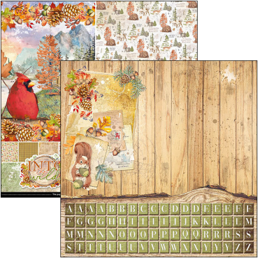 Preview: Ciao Bella 12 x 12 Inch Patterns Pad Into the Wild