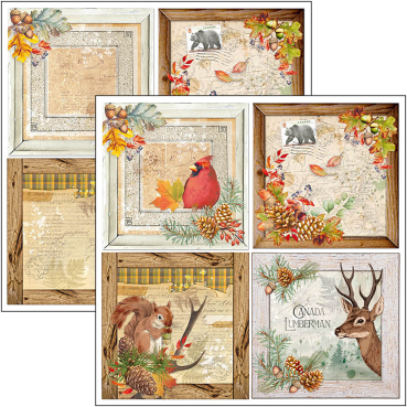 Preview: Ciao Bella 12 x 12 Inch Patterns Pad Into the Wild