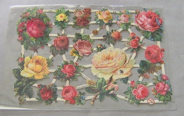 Poesiebild 24 x 17 cm Rosen