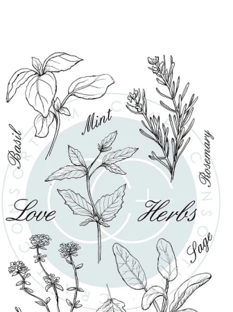 Preview: Craft Consortium Clear Stamp Transparenter Stempel The Herbarium Herbs