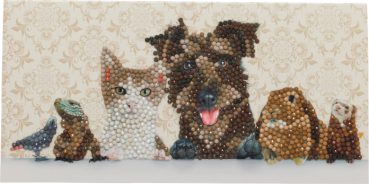 Craft Buddy CCK-11x22C6 Crystal Art Card Animal Family