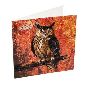 Preview: Craft Buddy CCK-A10 Crystal Art Card 18 x 18 cm Autumn Owl