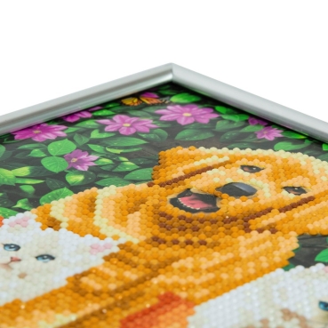 Preview: Crystal Art Kristallkunst Bilderrahmen mit silberfarbigem Rahmen CAM-11 Cat and Dog, Friends for Life