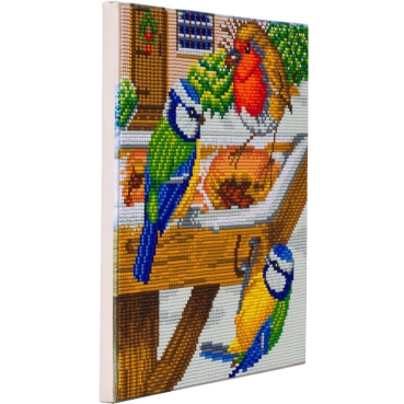 Preview: Craft Buddy CAK-A120M Framed Crystal Art Holzrahmen Hungry Birds
