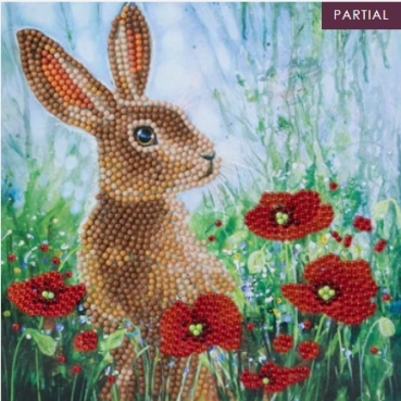 Craft Buddy CCK-A101 Crystal Art Card 18 x 18 cm Wild Poppies and the Hare