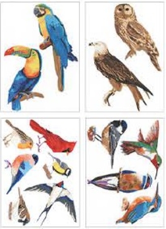 Craft Buddy CA-WST03 Birds Set of 4 Crystal Art Wall Stickers Set mit 4 Wandstickern
