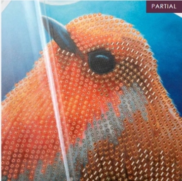 Preview: Craft Buddy CCK-XM104 Crystal Art Card 18 x 18 cm Robin