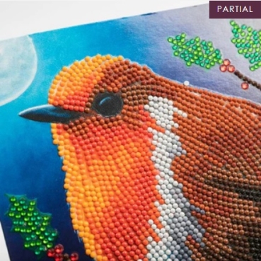 Preview: Craft Buddy CCK-XM104 Crystal Art Card 18 x 18 cm Robin