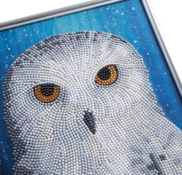 Preview: CAM-34 Crystal Art Gallery Collection Kit 21 x 25 cm Owl