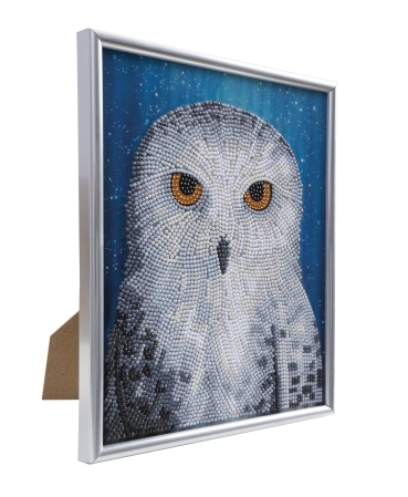 CAM-34 Crystal Art Gallery Collection Kit 21 x 25 cm Owl