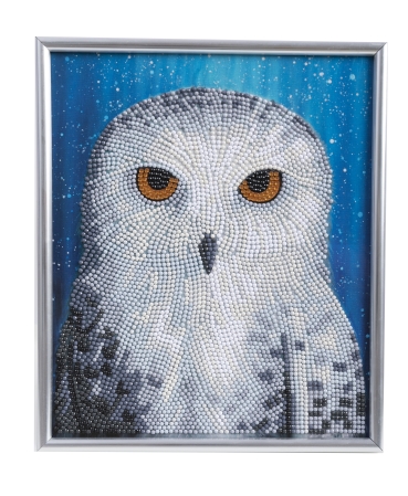 CAM-34 Crystal Art Gallery Collection Kit 21 x 25 cm Owl