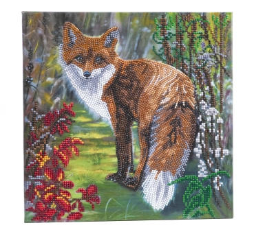 Craft Buddy CAK-A173M Framed Crystal Art Holzrahmen Autumn Fox