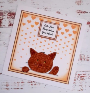 Preview: Craft Buddy CCST85 Crystal Art Crystal Art A6 Clear Stamps Transparente Stempel Cute Kitten