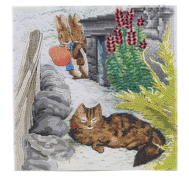 Craft Buddy CAK-PBRT33M Framed Crystal Art Holzrahmen Playful Peter Rabbit