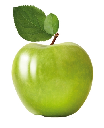 Seifenduft-Öl 10 ml Grüner Apfel