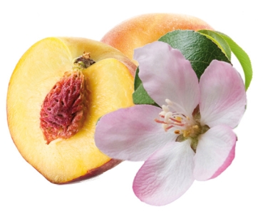 Seifenduft-Öl 10 ml Pfirsischblüte