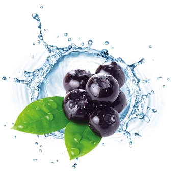 Fruchtiges Seifenduft-Öl Blaubeere /Heidelbeere