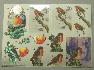 3 D Bogen A 4 Rotkehlchen