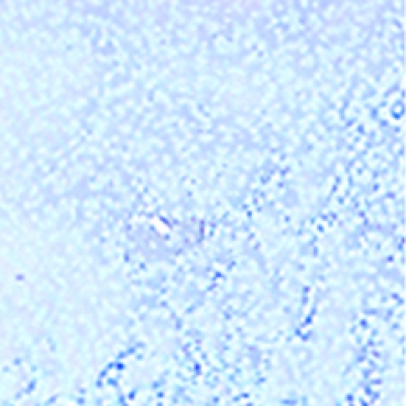 Efcolor Farbschmelzpulver silber struktur 25 ml