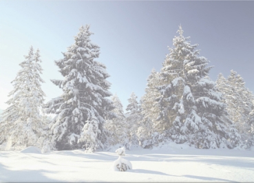 Reddy Cards Einleger aus Transparentpapier Winter