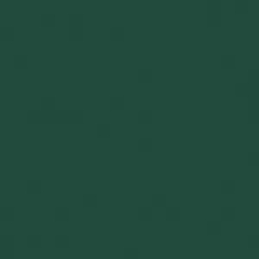 Schmuckemail (Titanpuderemail) transparent 45 Gramm dunkelgrün