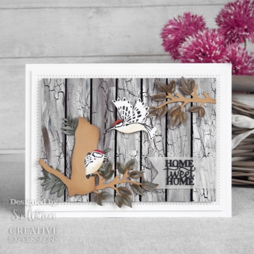 Preview: Creative Expressions Sue Wilson Craft Die Necessities Woodpecker