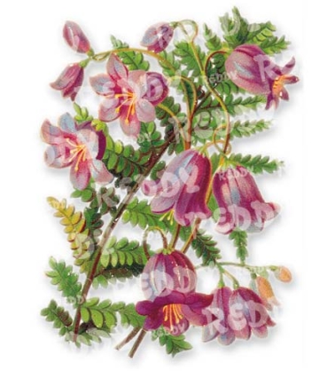 Preview: 3D Stanzbogen Rosen, Fuchsien