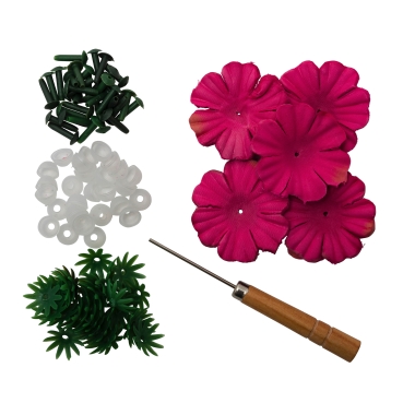 Preview: Flowerz Brilliant Begonias Fuchsia