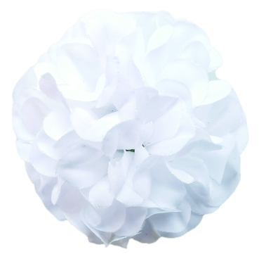 Flowerz Cute Camelias / Kamelien White
