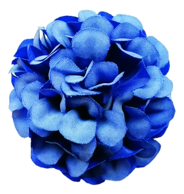 Flowerz Cute Camelias / Kamelien Sapphire