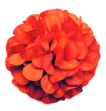 Flowerz Cute Camelias / Kamelien Tangerine