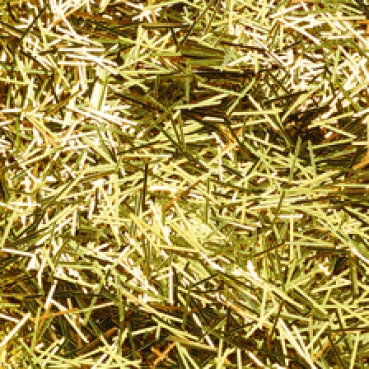 Preview: Efco Brillant Glitter fiber 4,5 Gramm gold