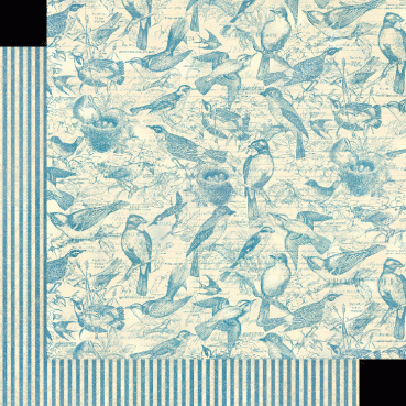 Graphic 45 Bird Watcher 8 x 8 Inch Paper Pad