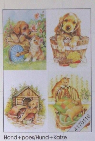 Le Suh 3 D Bogen im Format 50 x 70 cm Katze und Hund